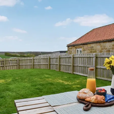 Hayloft 펜션 Skinningrove